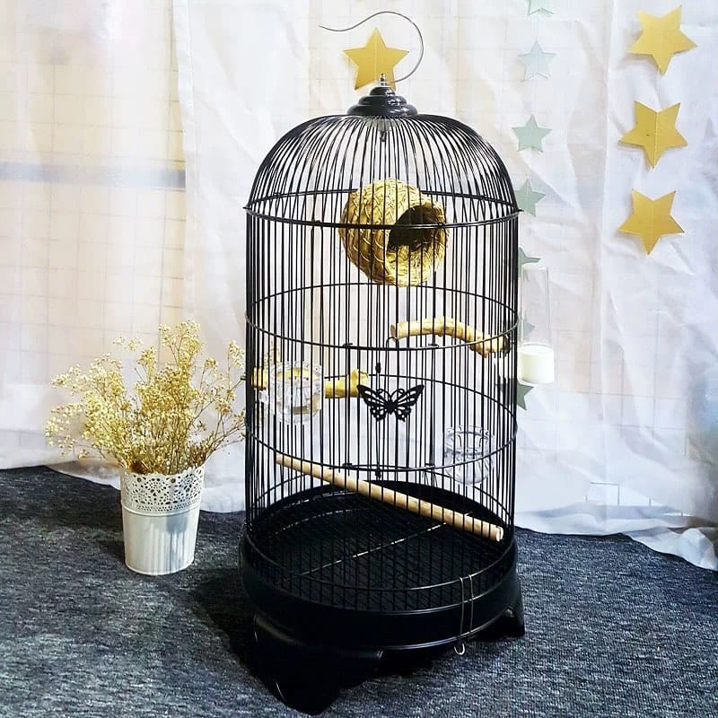 repurposed birdcage as garden