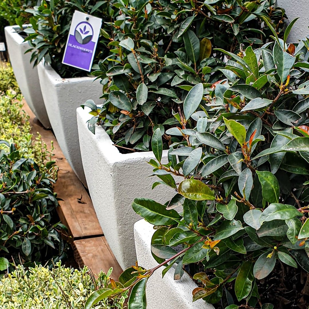 children's garden piano planter