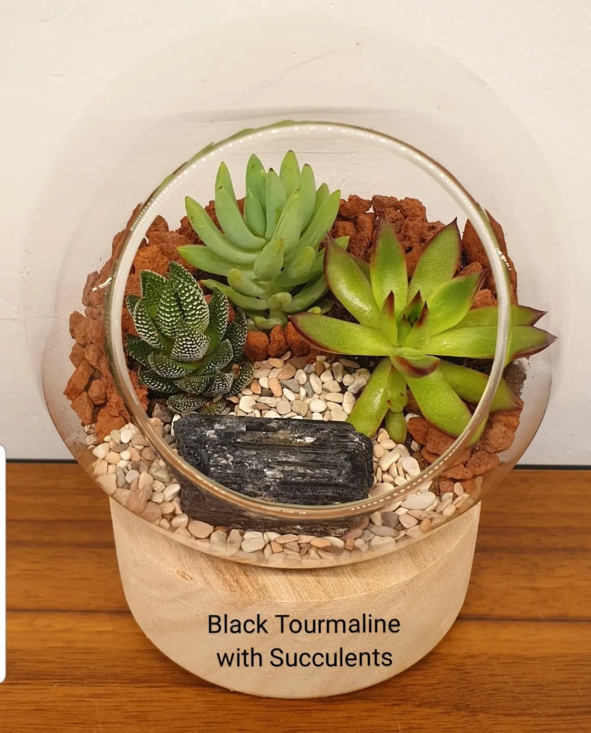 tiger's eye with cactus on office shelf