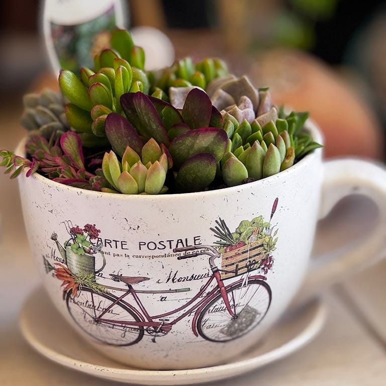 brightly painted teacup with succulents