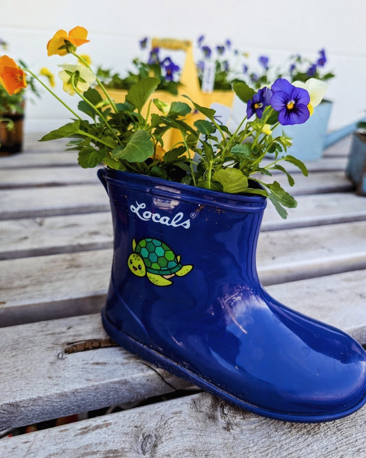 colorful rain boots with herbs