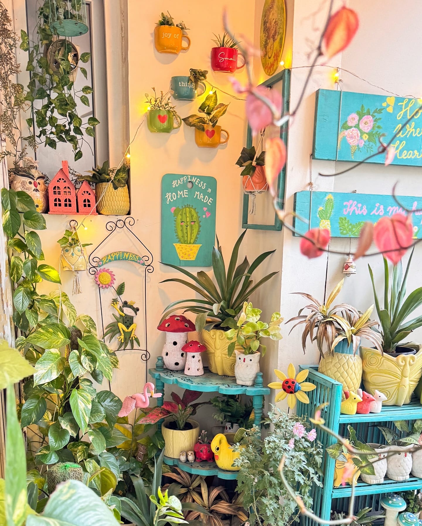 hutch with string lights among plants