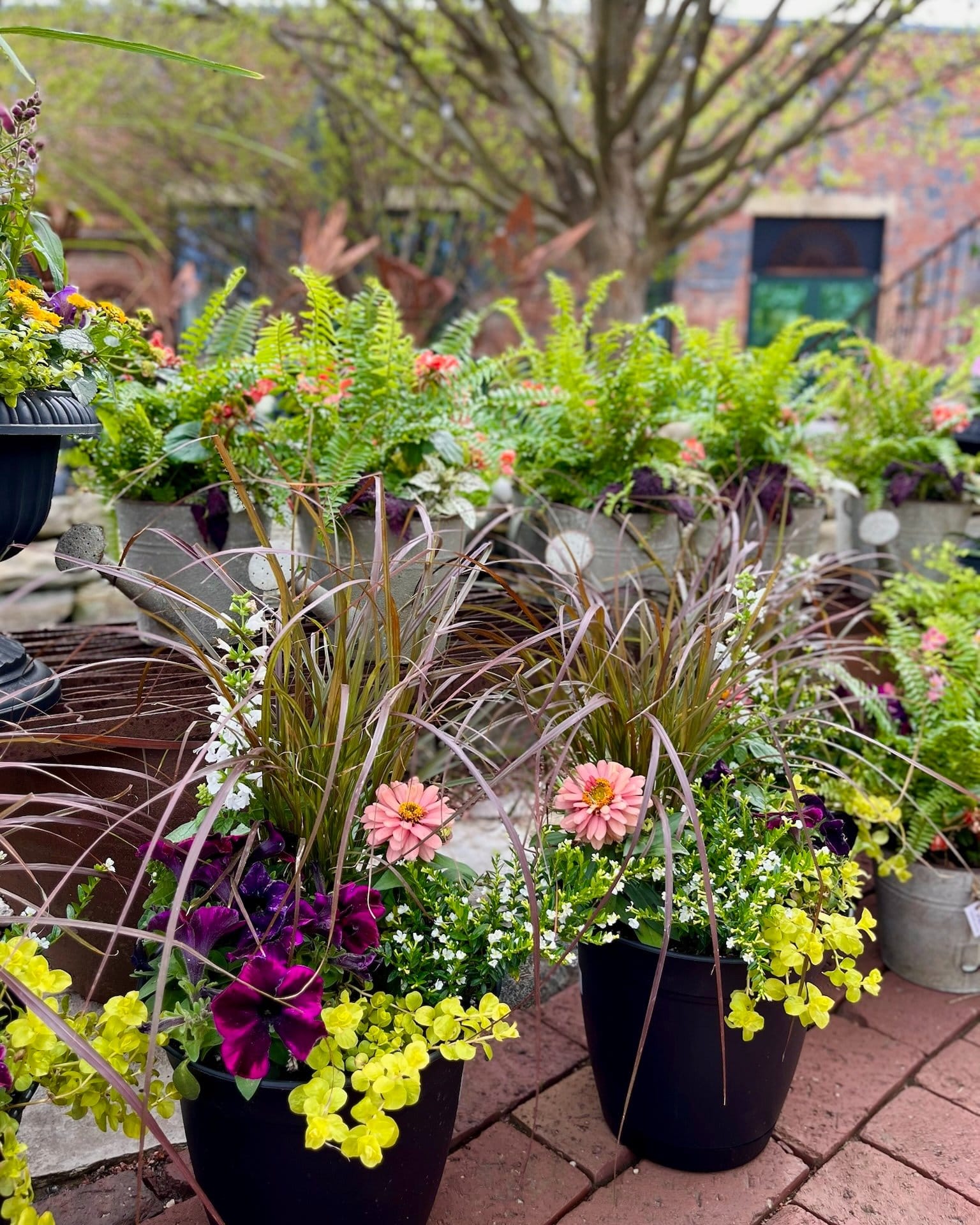 bright-colored flowers in crate