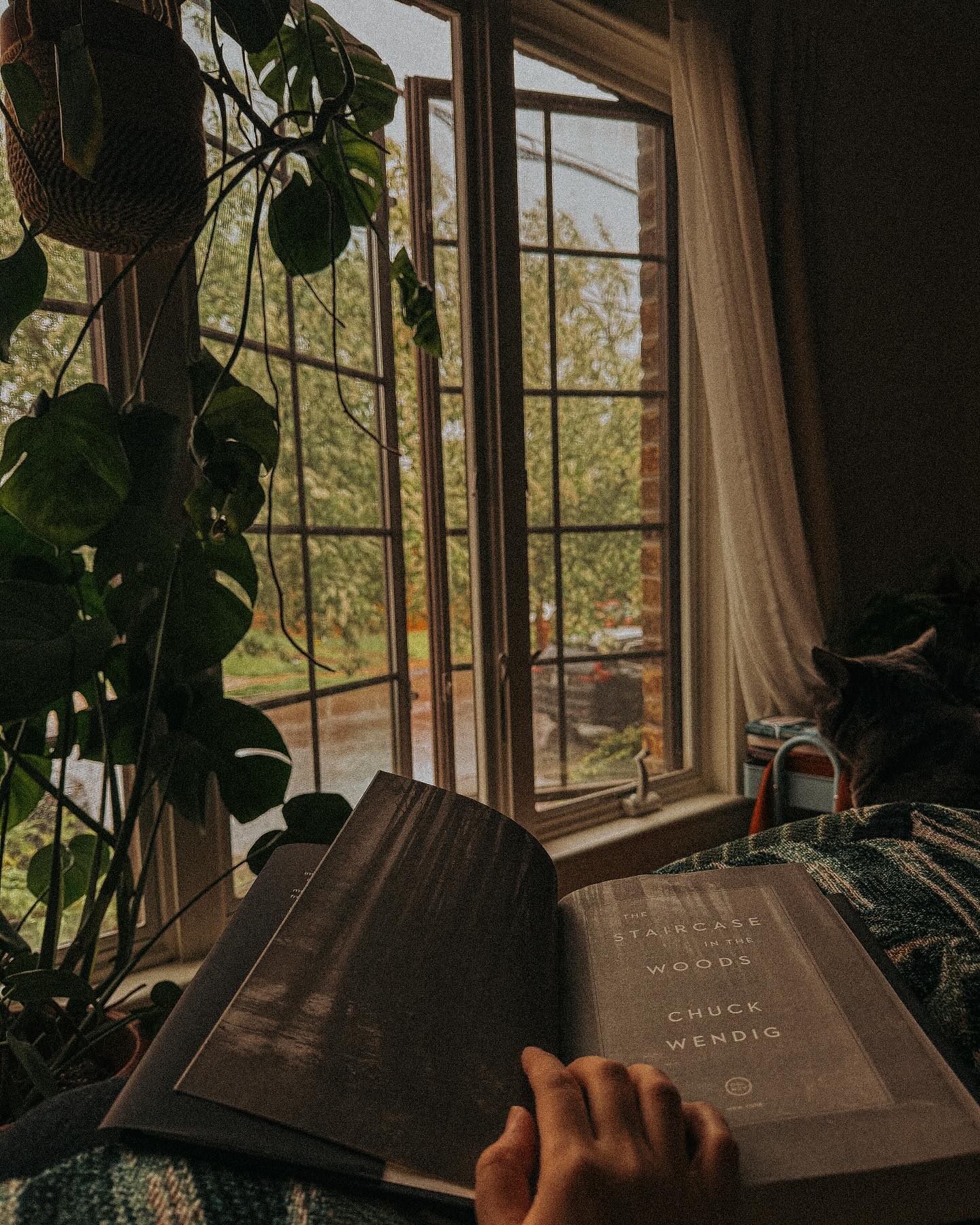 plants on staircase window sill