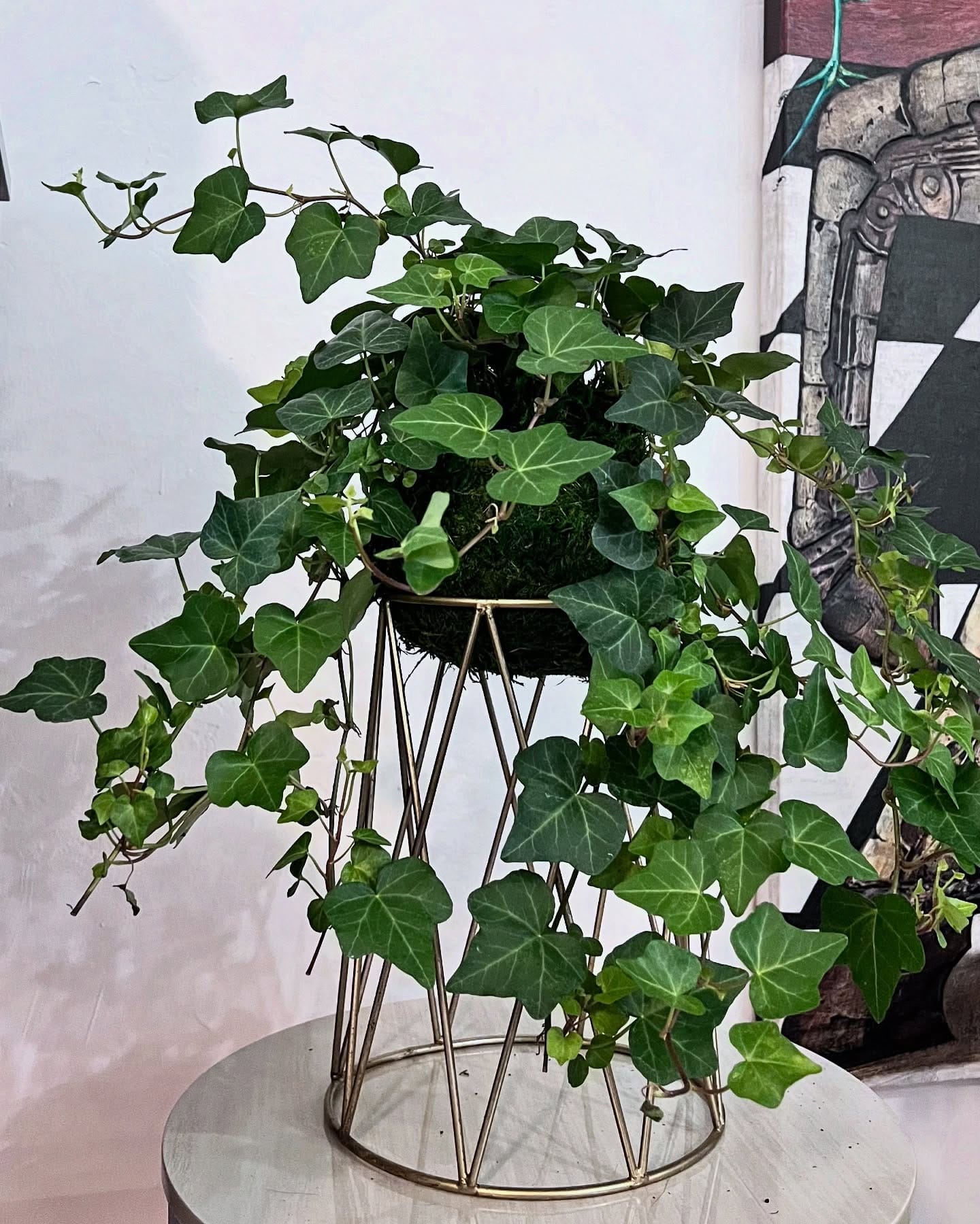 kokedama in modern office setting