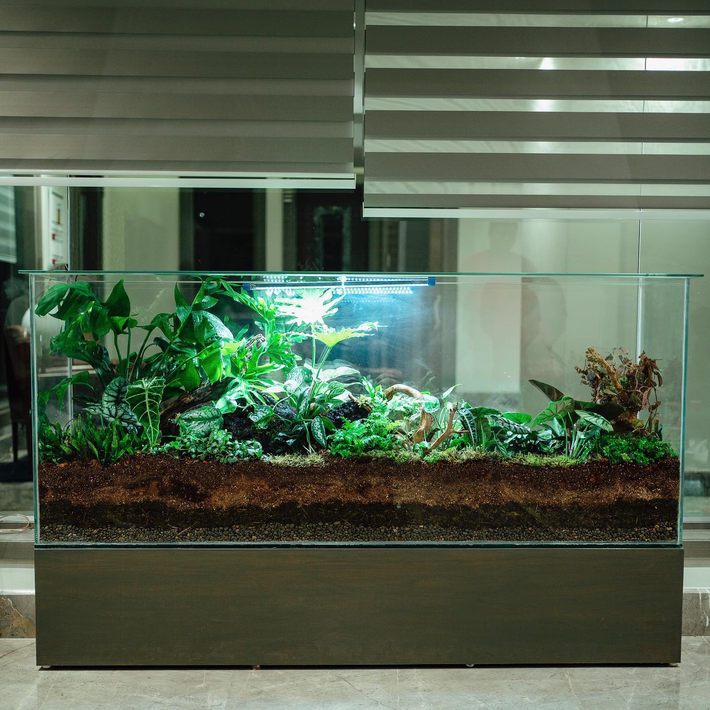 large floor glass terrarium with tropical plants