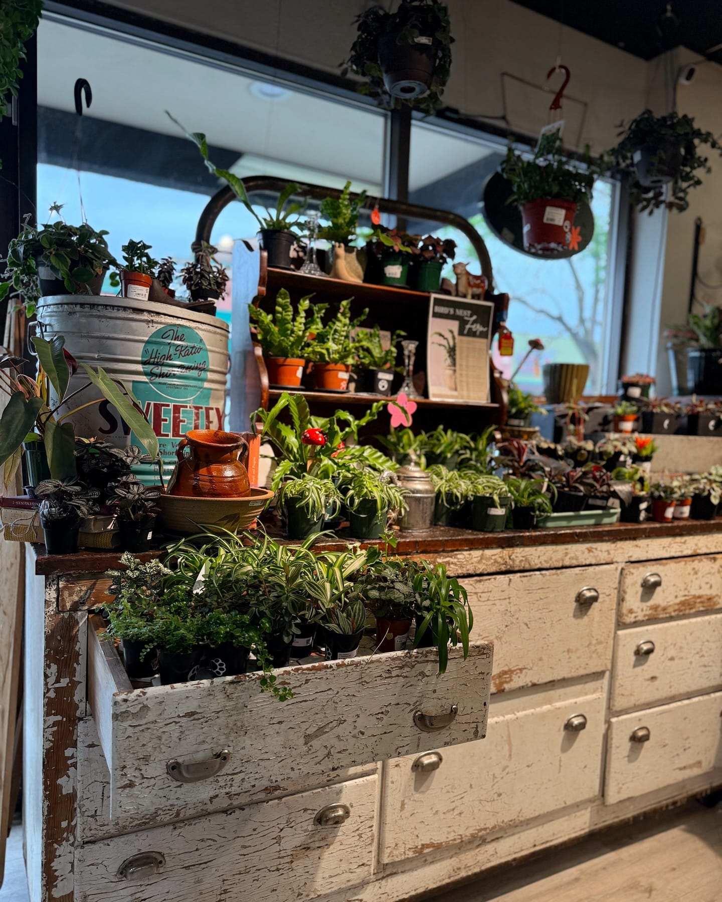 floral-filled drawer on patio