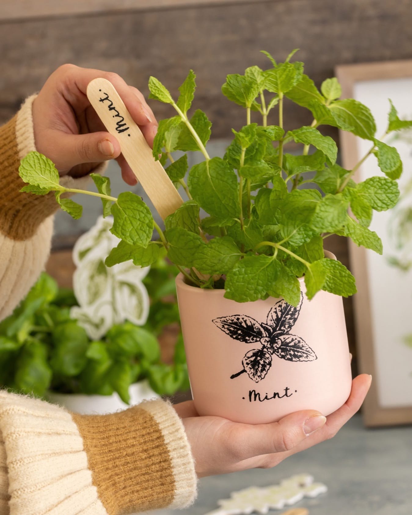 tin cans with chalkboard labels
