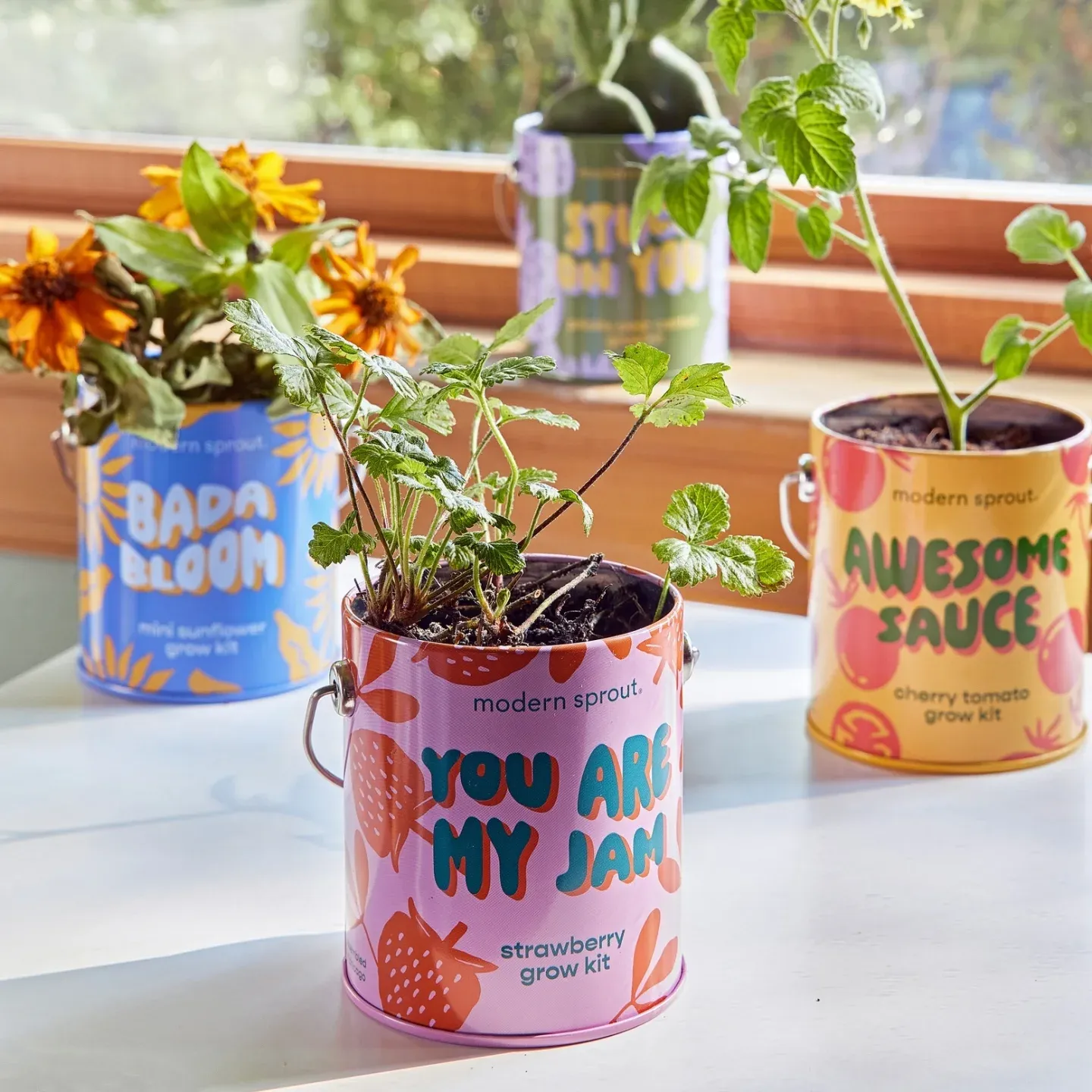 magnetic tin can herb display on fridge