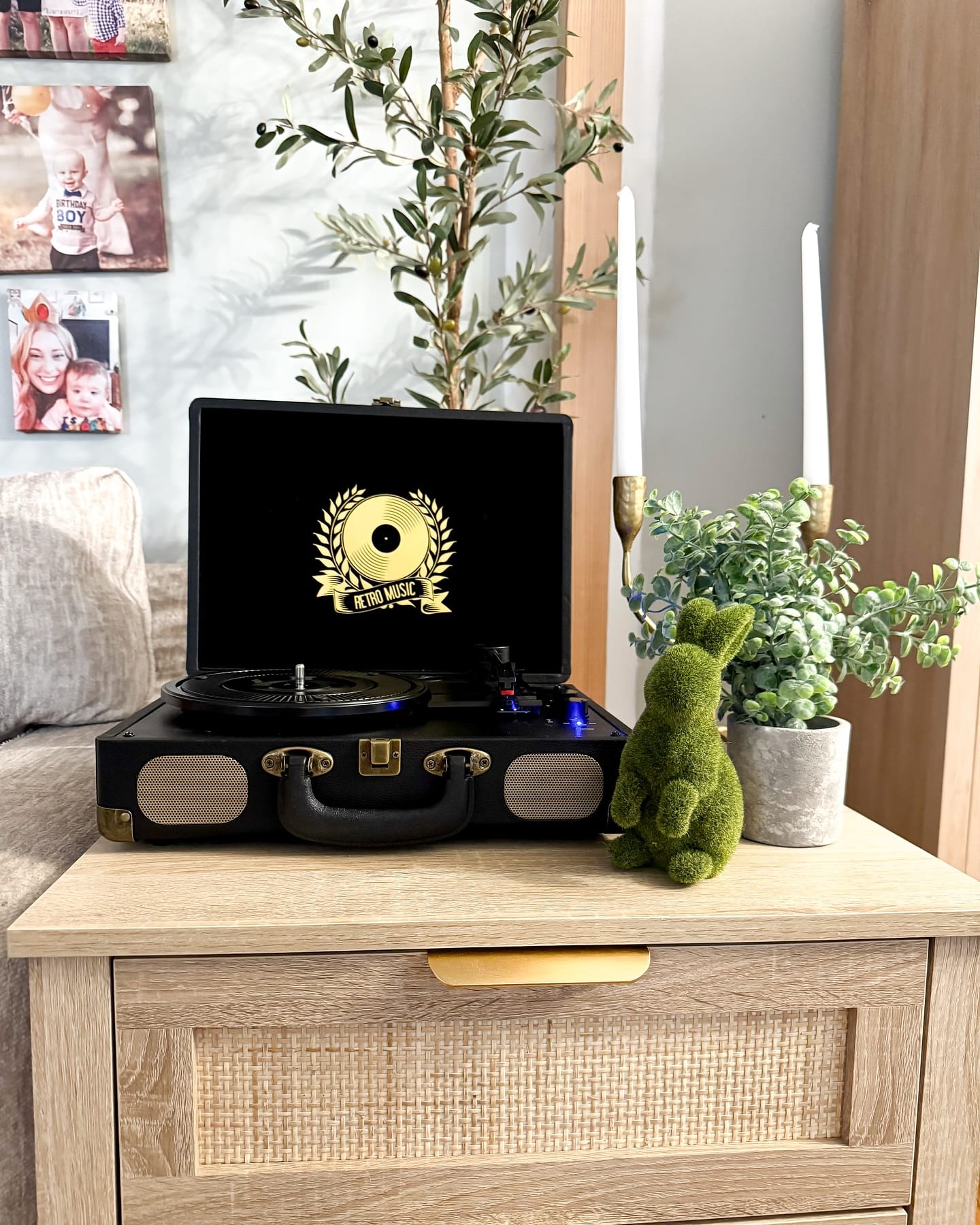 vintage turntable with succulents