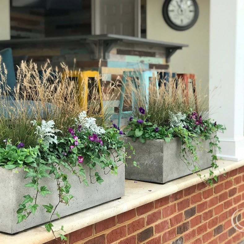 barrel planter with wheels