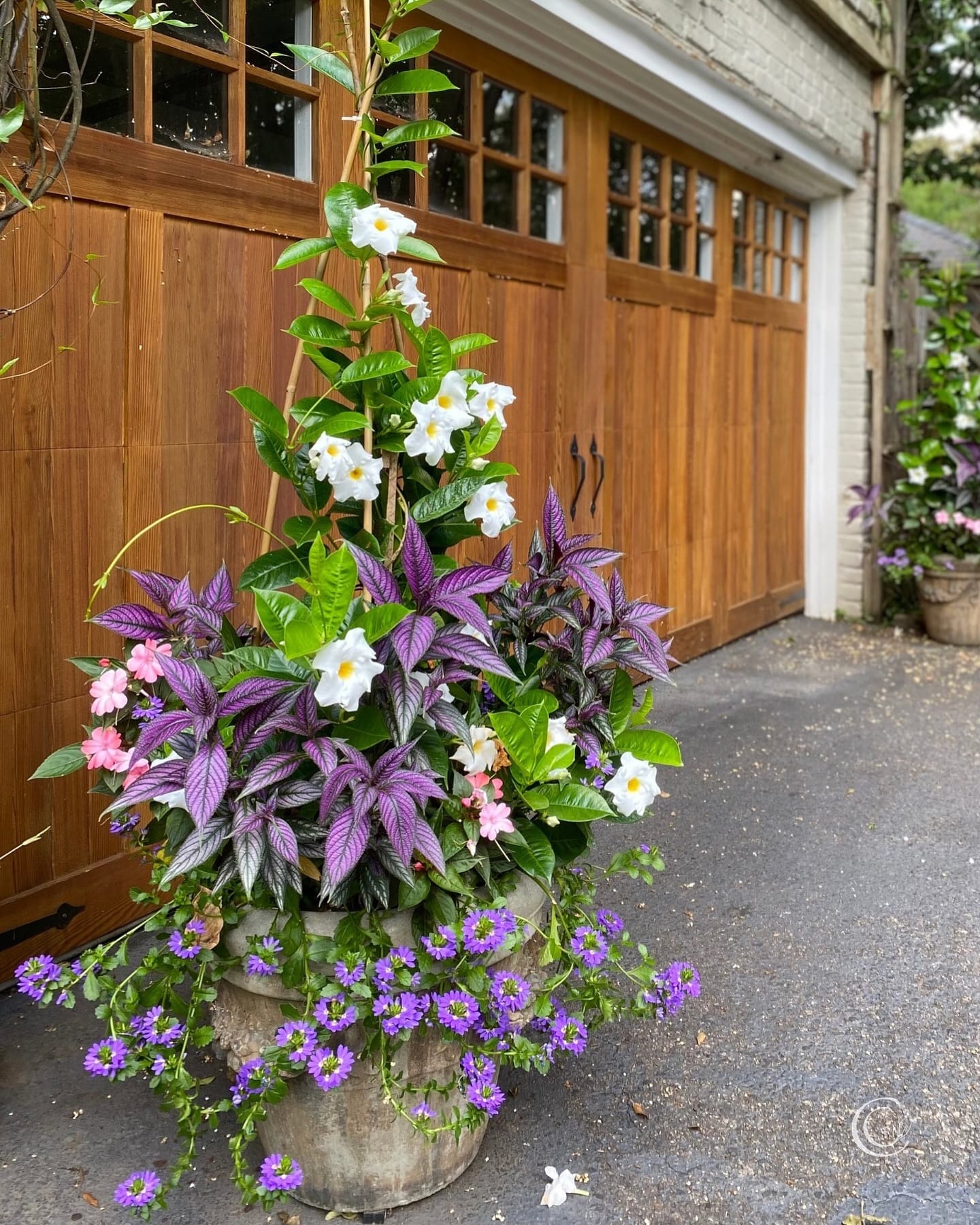 bee-friendly flowers in crate