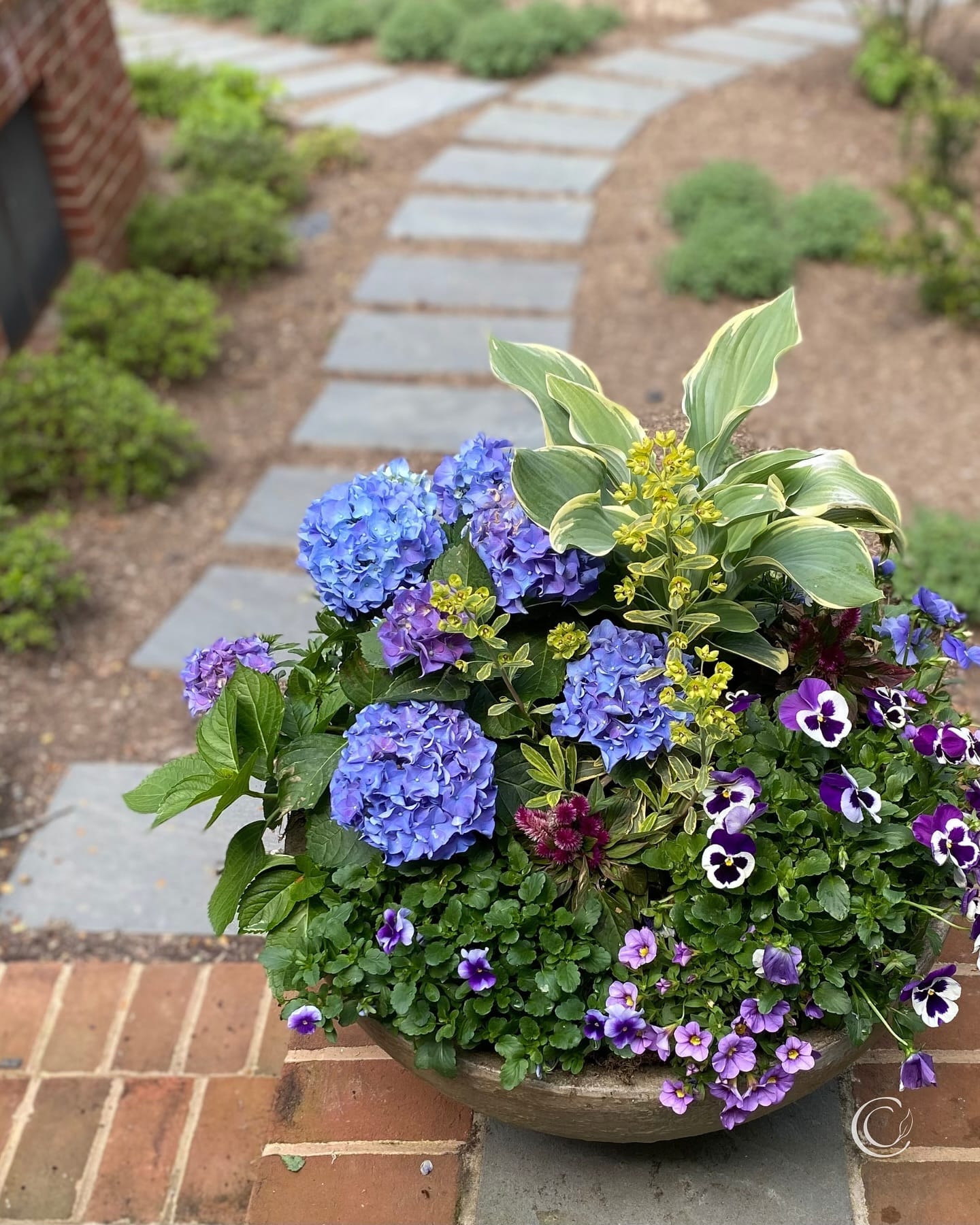 colander with herbs and flowers