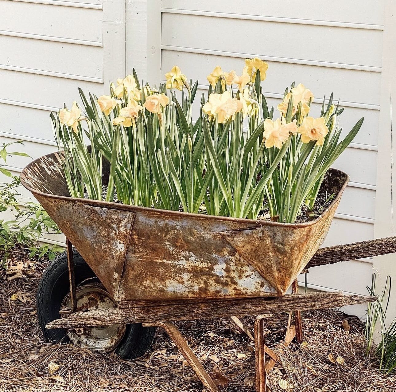small herb pots in wooden tray