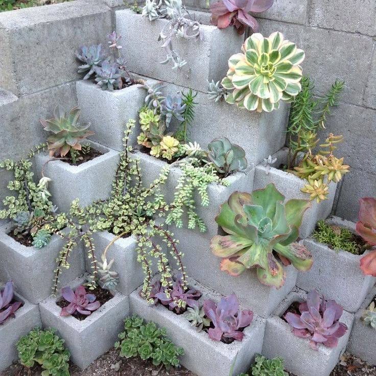 stacked cinder blocks with succulents