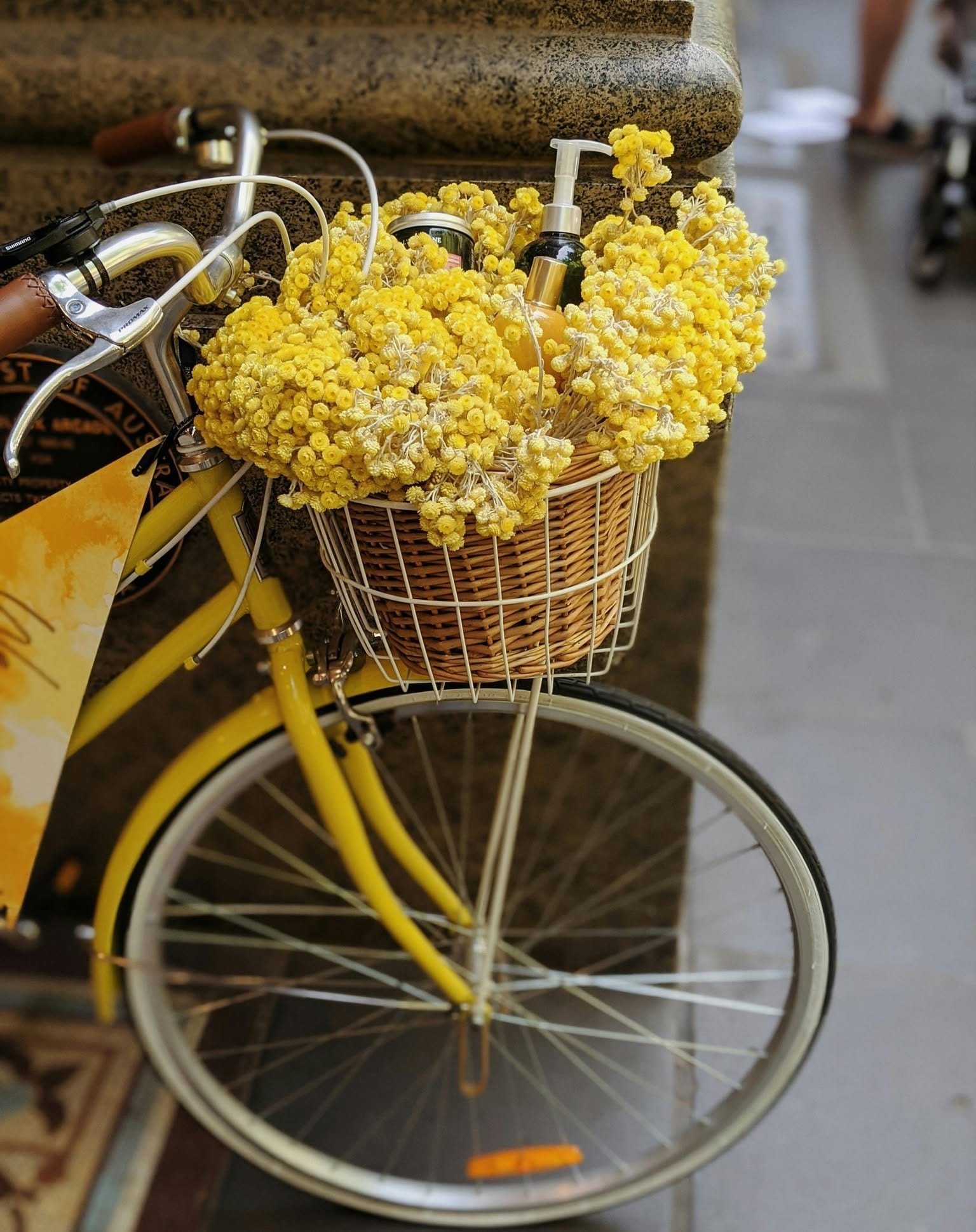 bicycle plant with watering can
