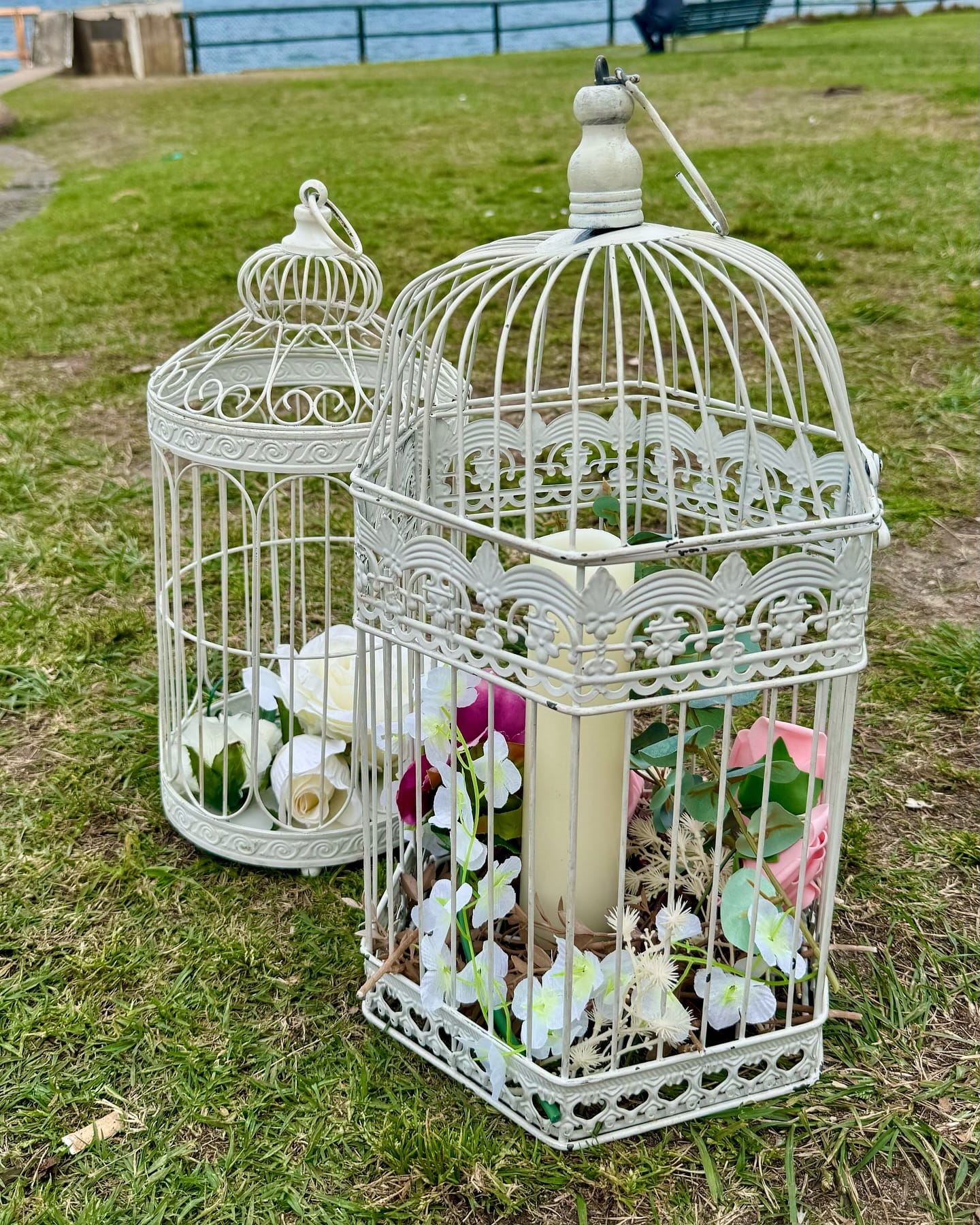 birdcage hanging by window