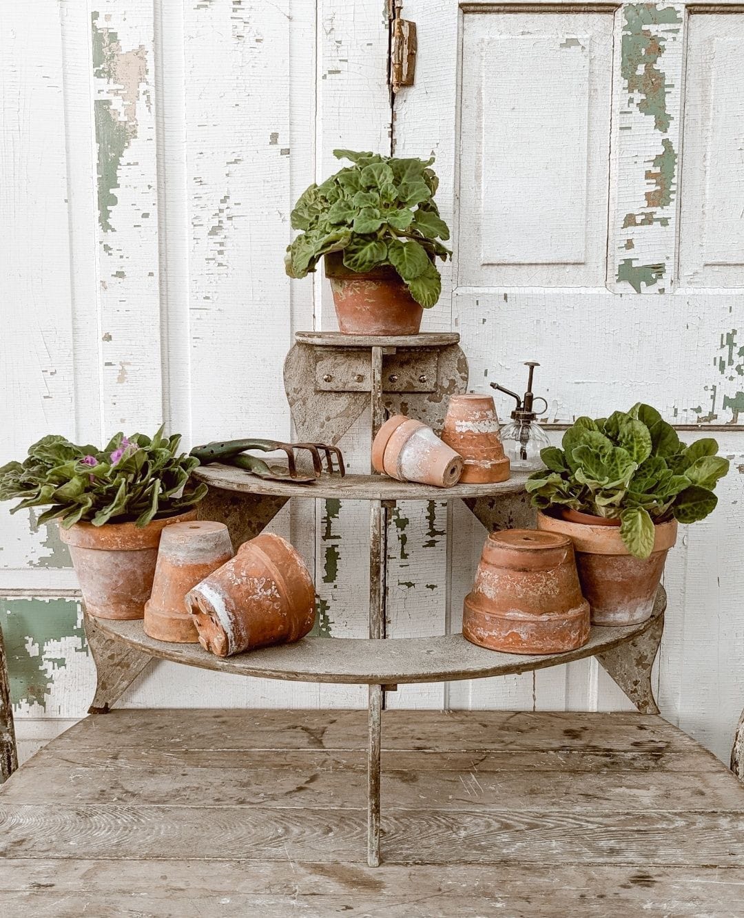 wooden crate shelves with mixed plants
