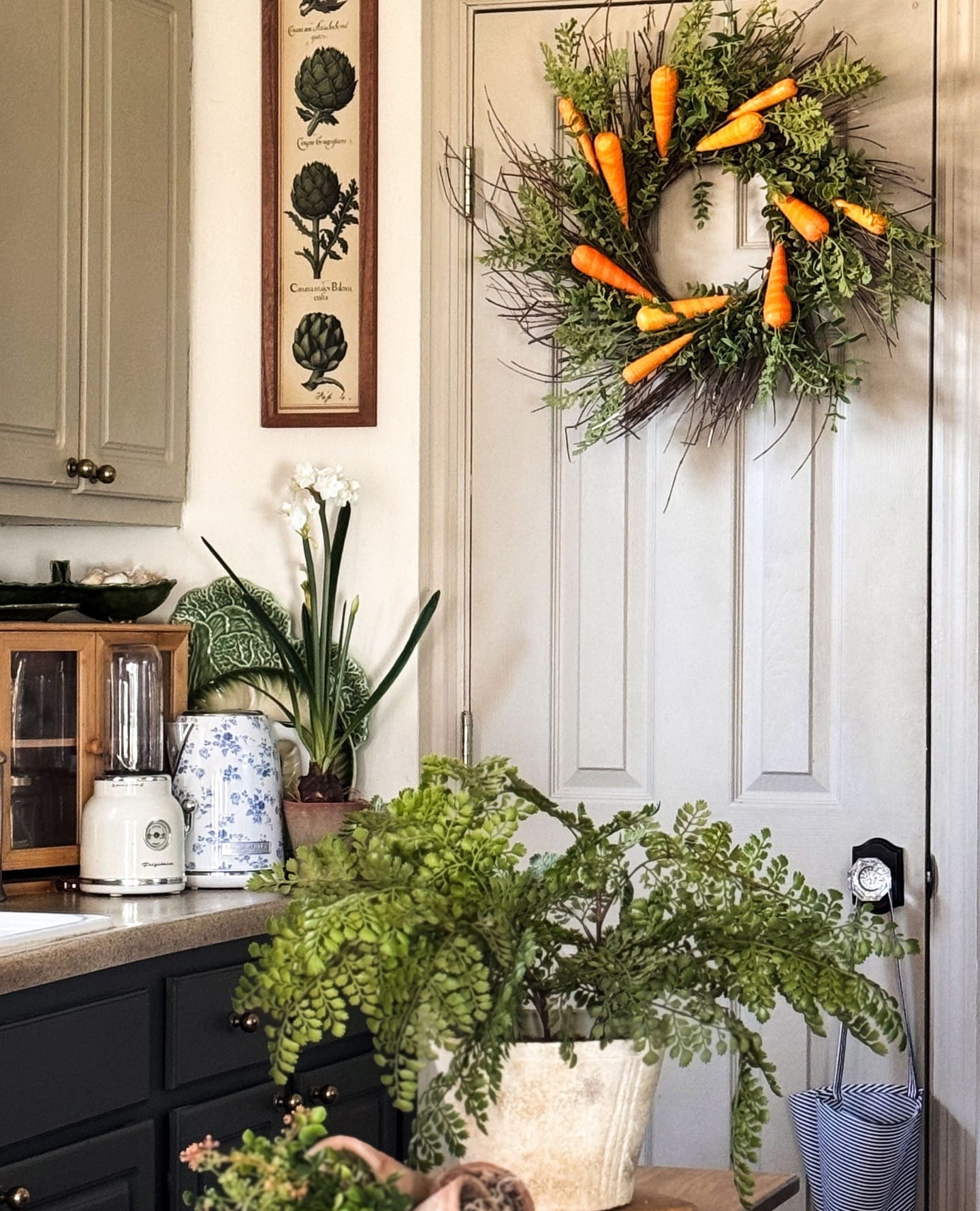 air plant on wire wreath