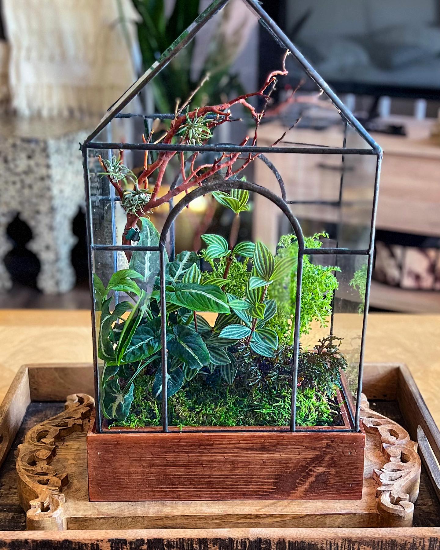 minimalist glass sand terrarium with air plant