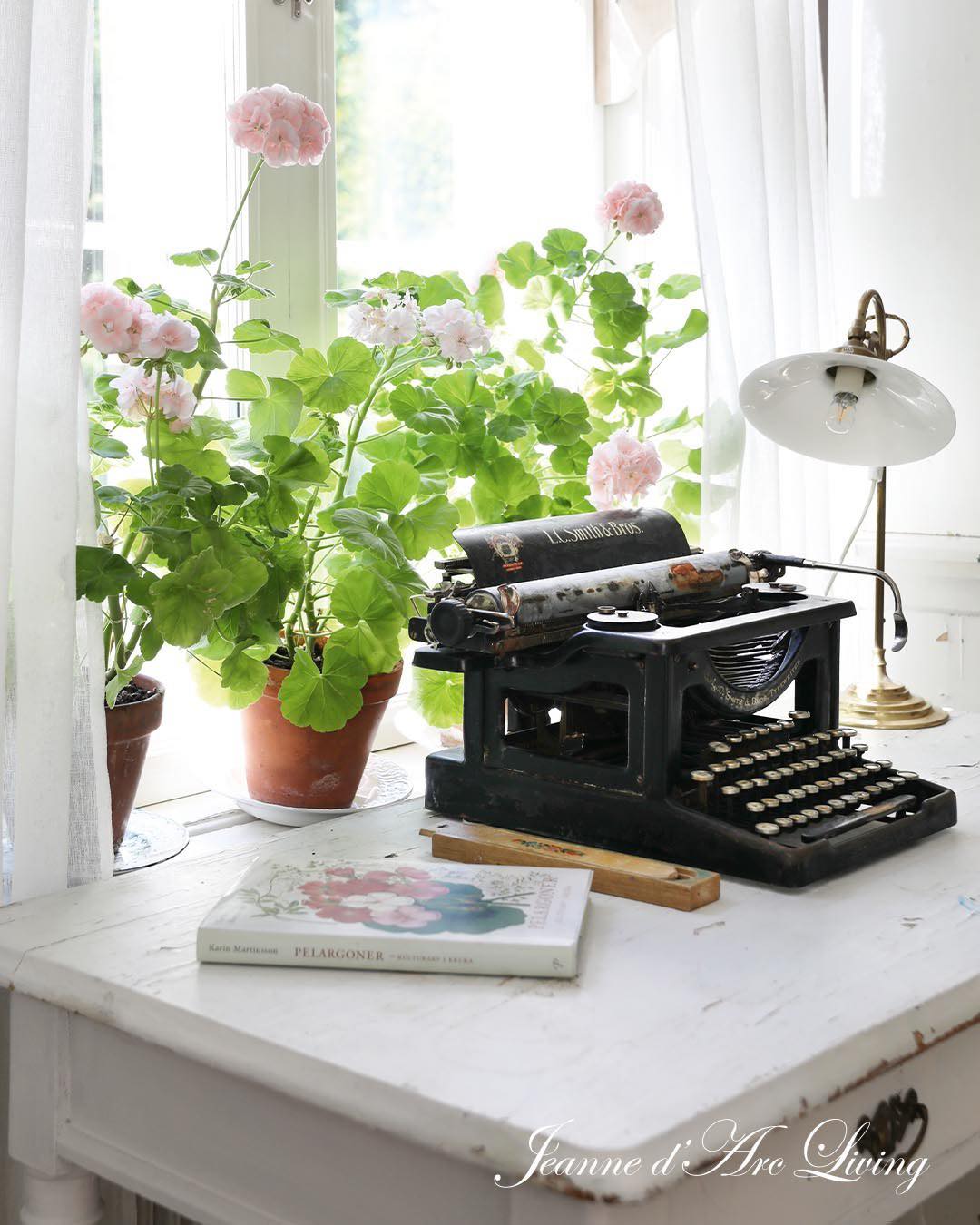 typewriter with snake plant on hallway shelf