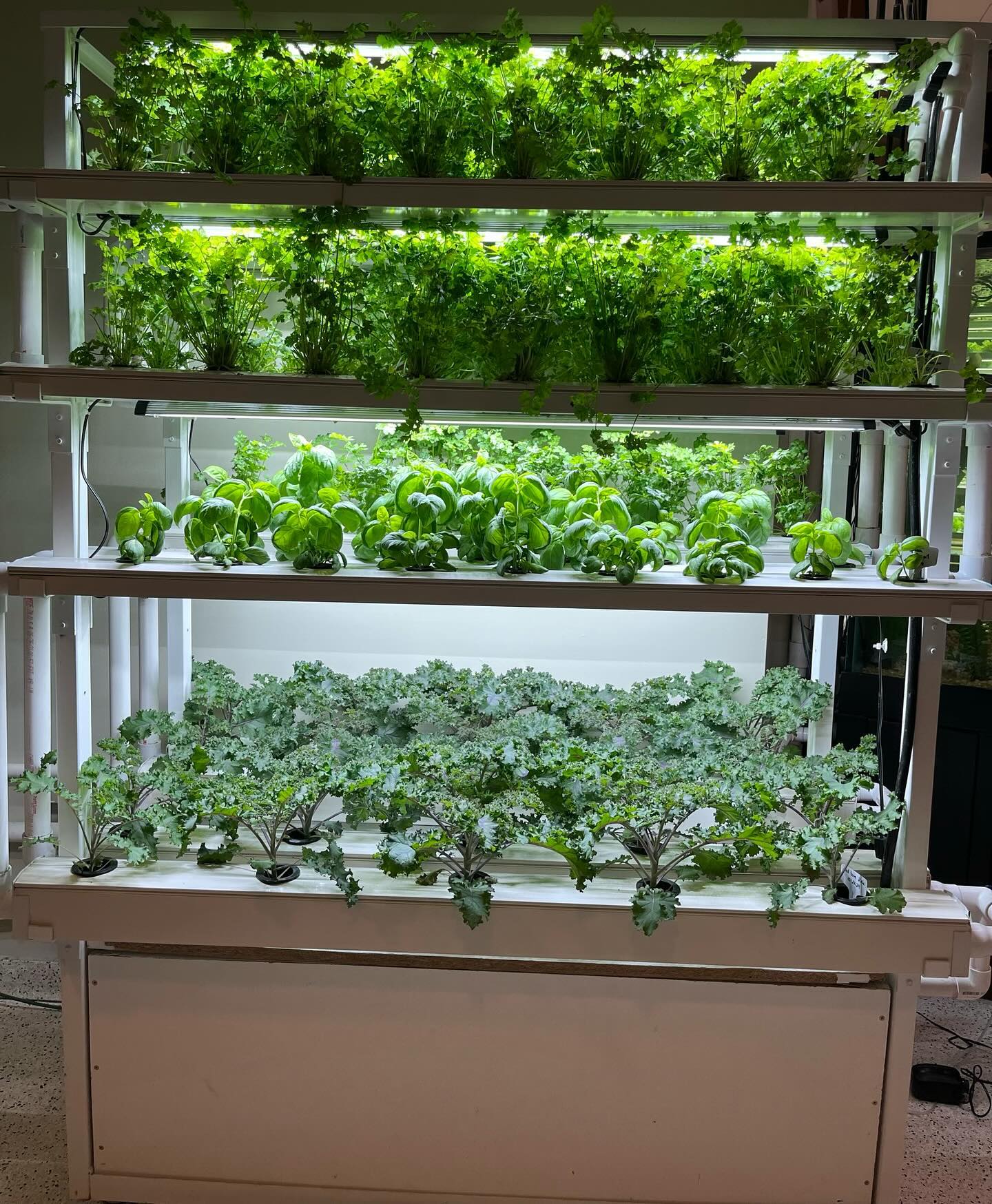 spiral setup with herbs and fish tank