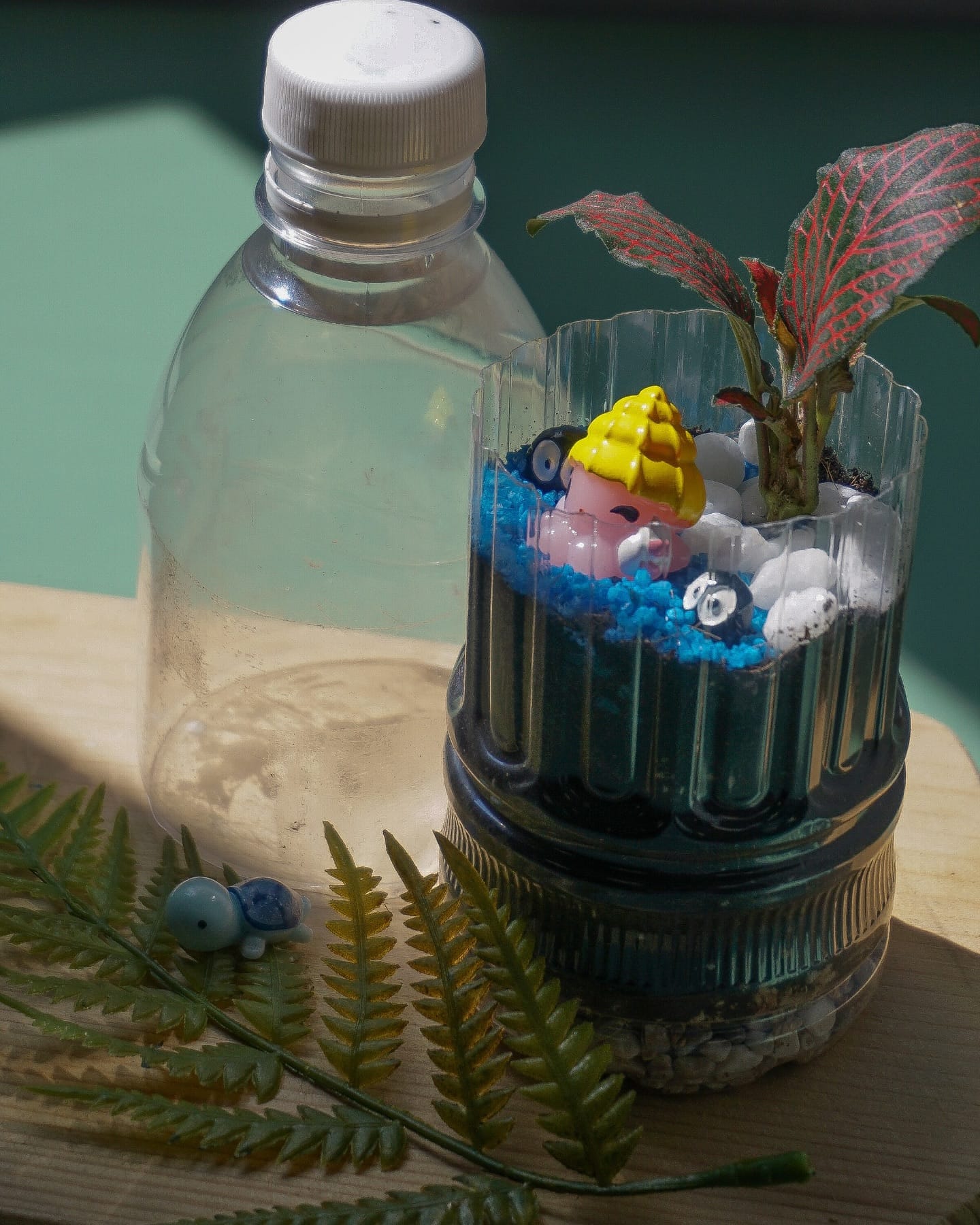 upcycled plastic bottle terrarium