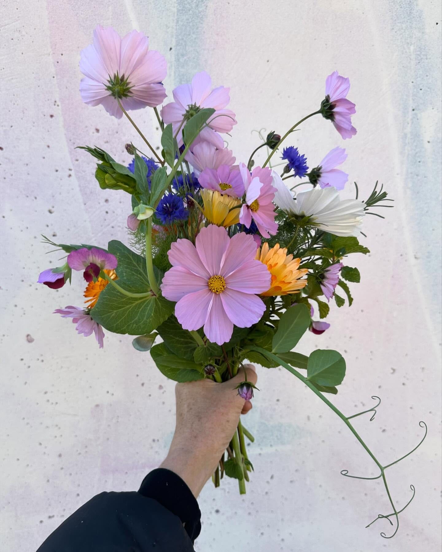 mint flowers in a glass jar
