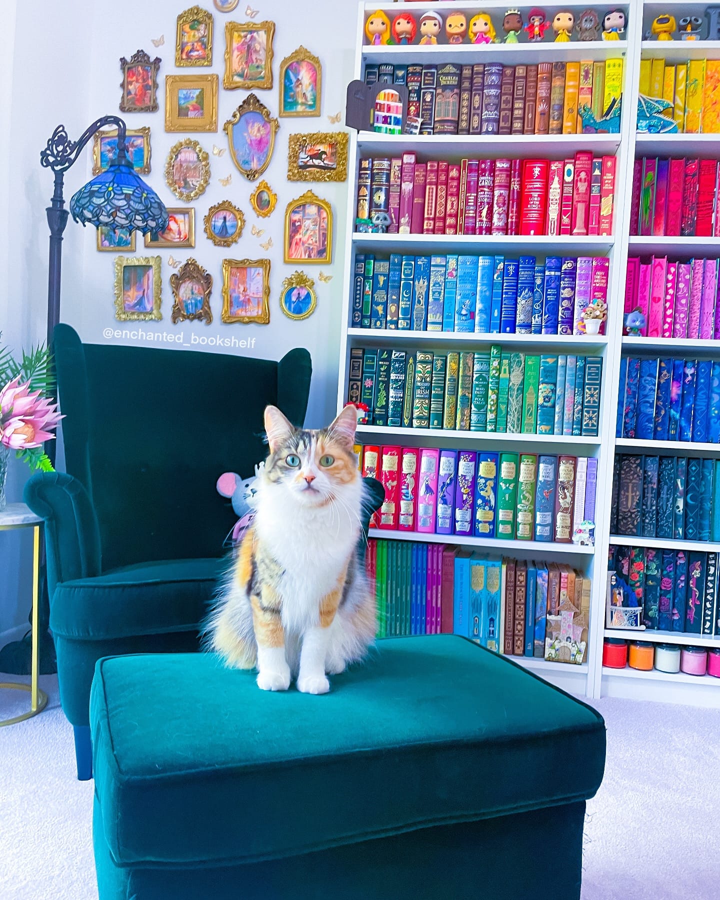 bookshelf filled with books and assorted plants