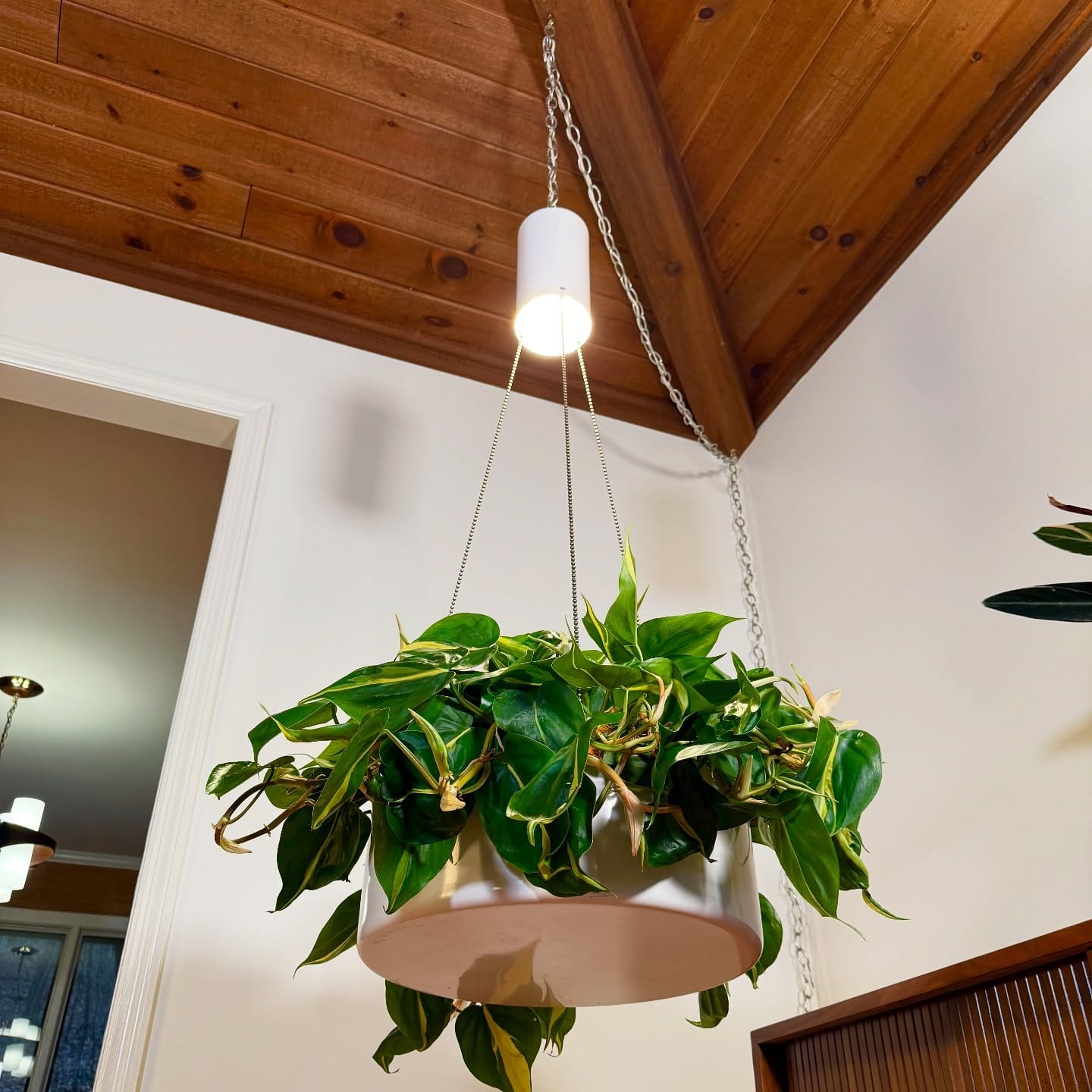 simple black metal chandelier plant hanger