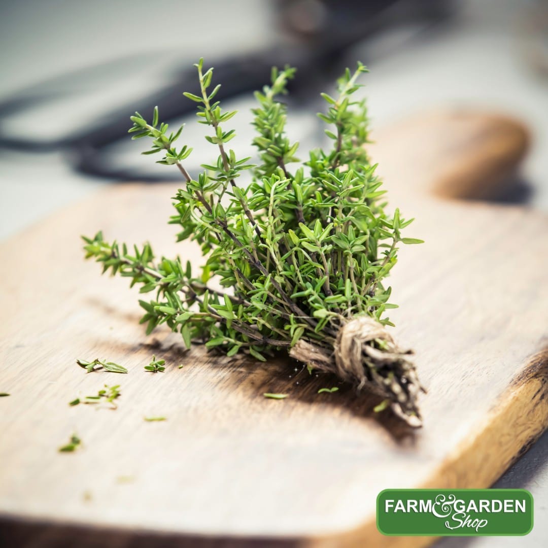 thyme sprigs on a rustic cutting board