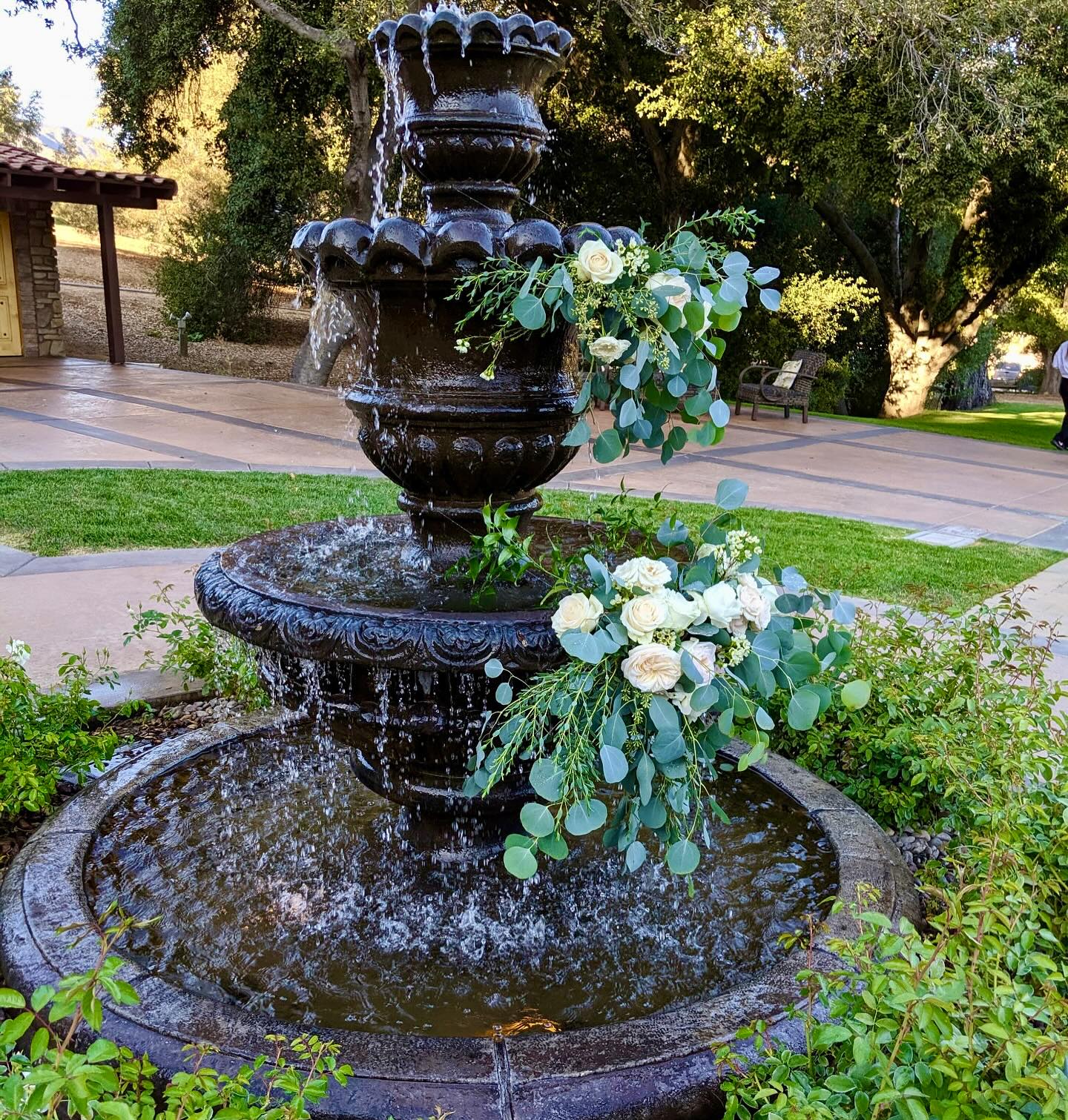 tropical plants in sunny fountain