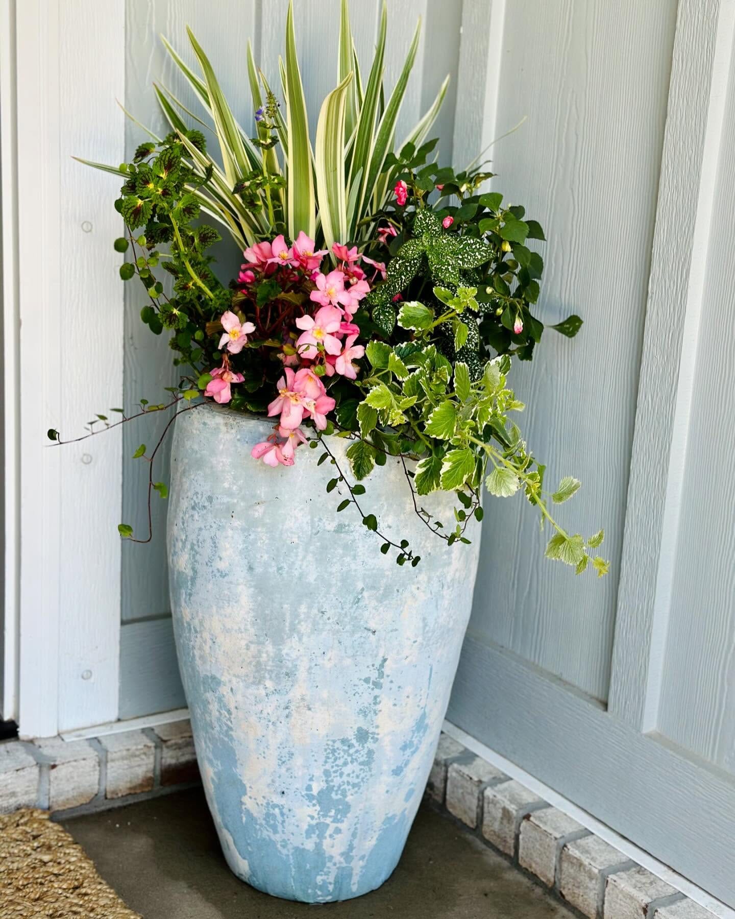 patterned plant pots with daisies