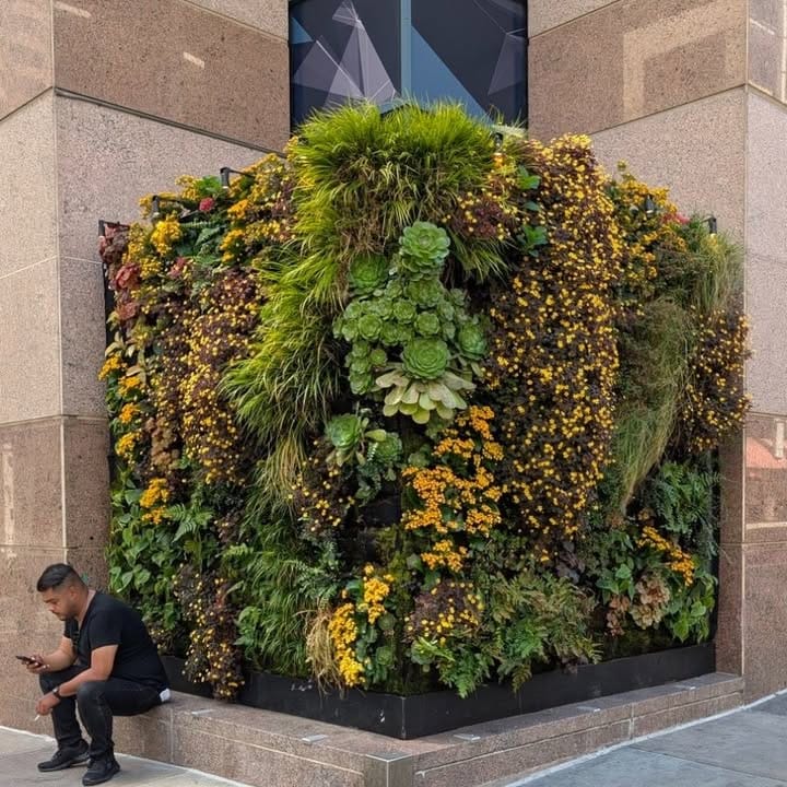 air-purifying plant wall in office