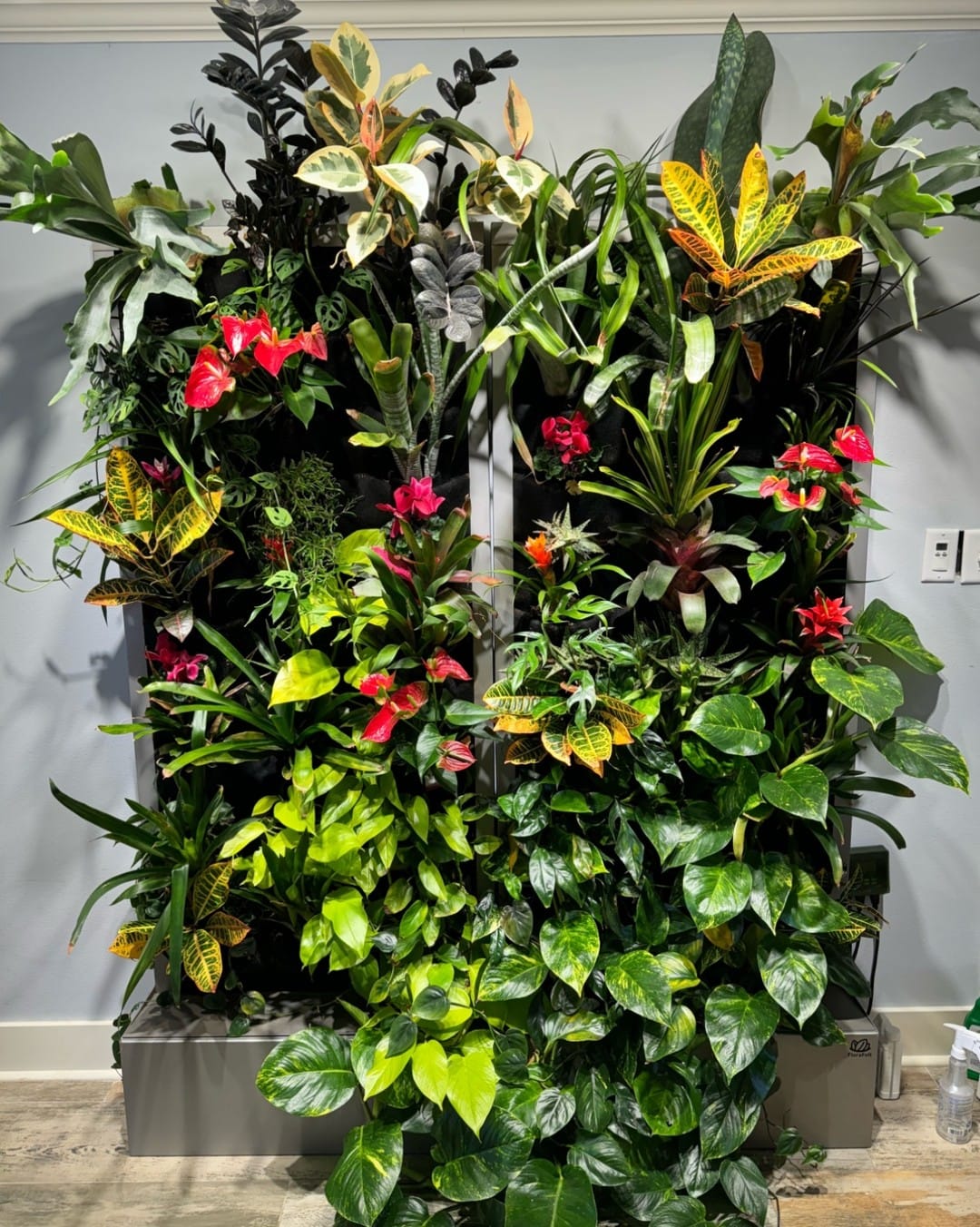 succulent tapestry in an entryway
