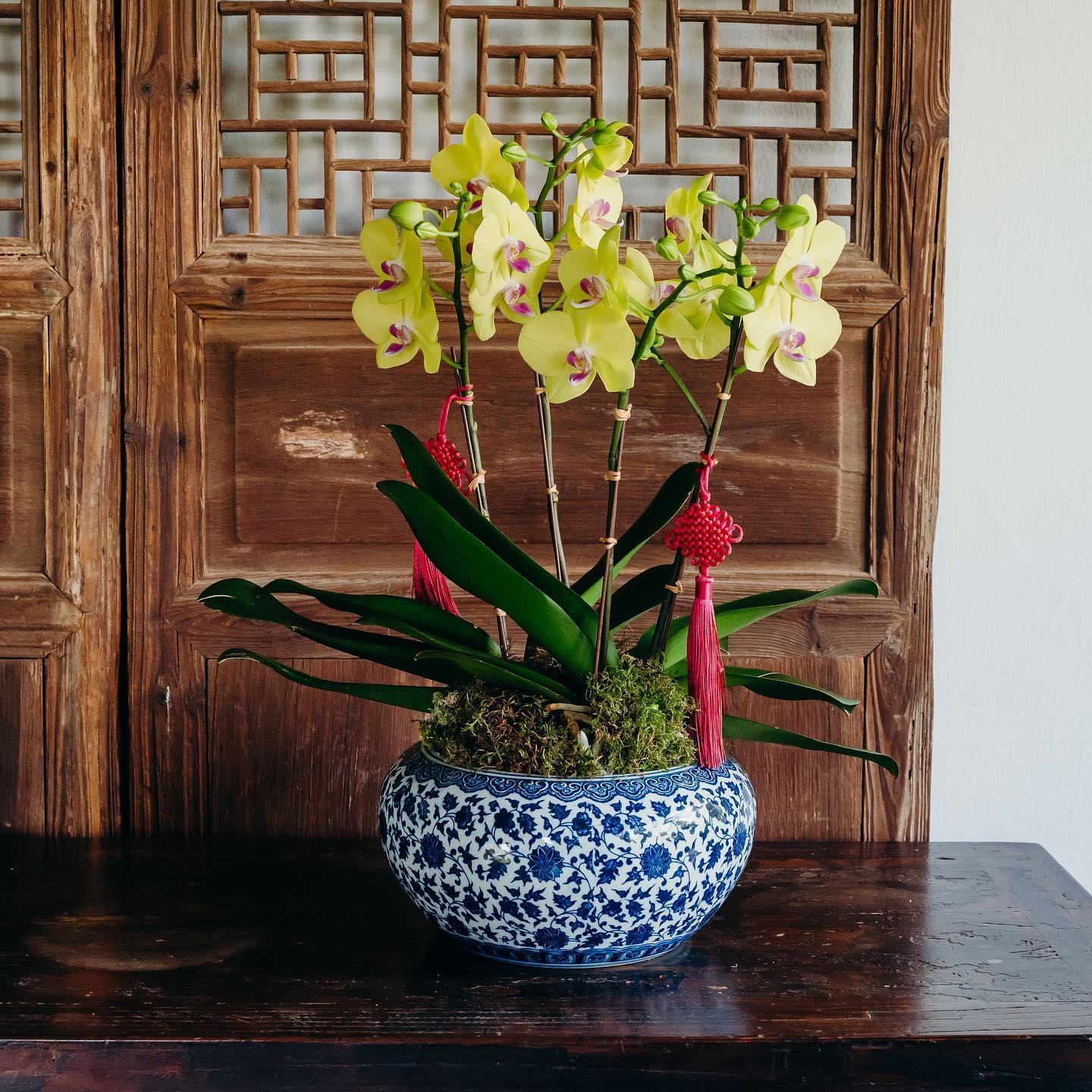 orchid in an elegant pot on a dining table