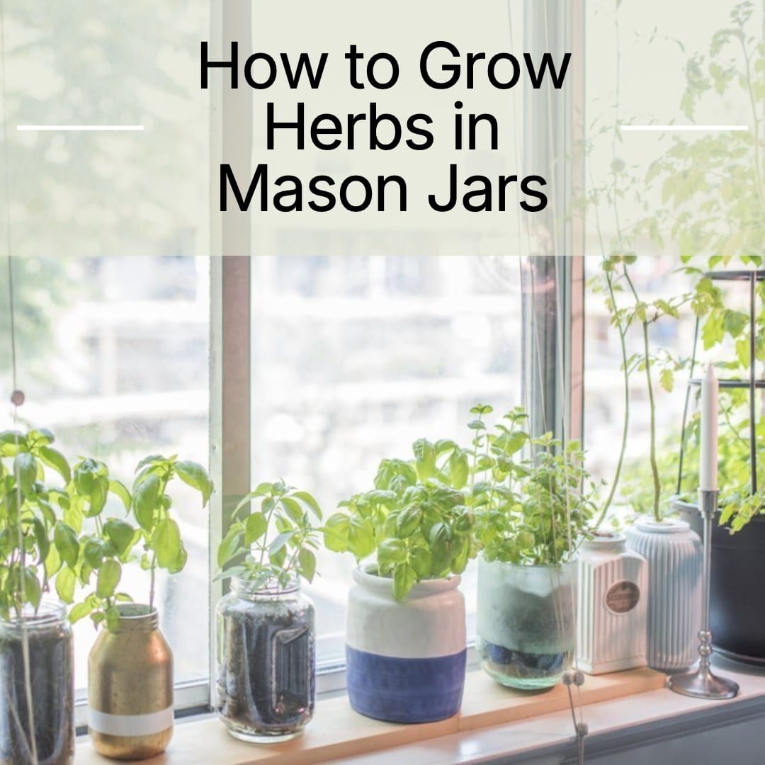 Mason jars lined on a windowsill