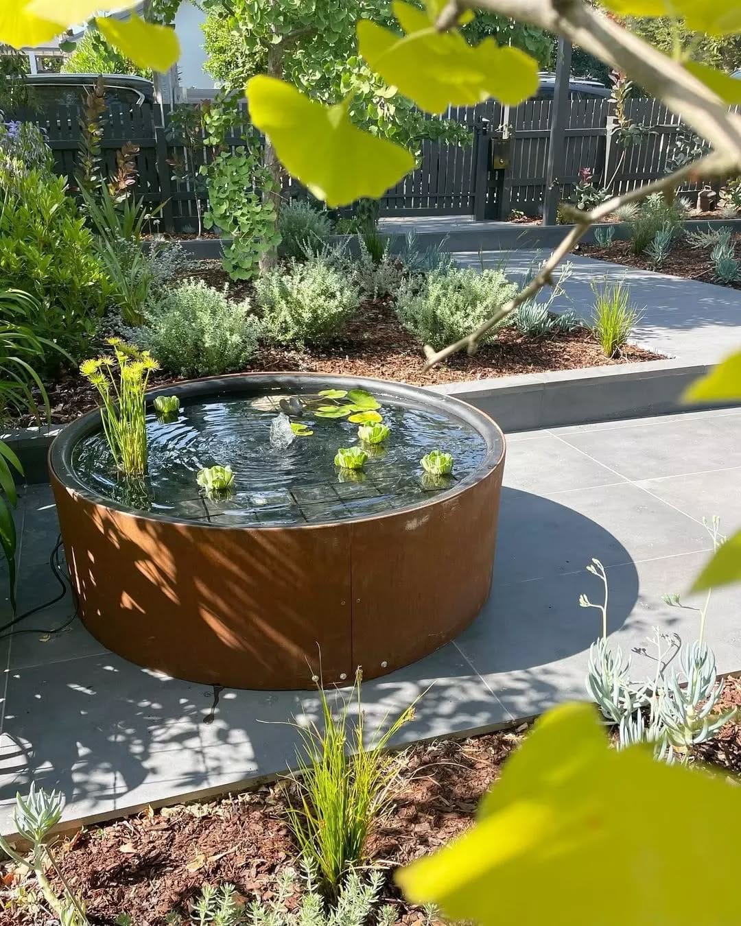 water garden with floating plants