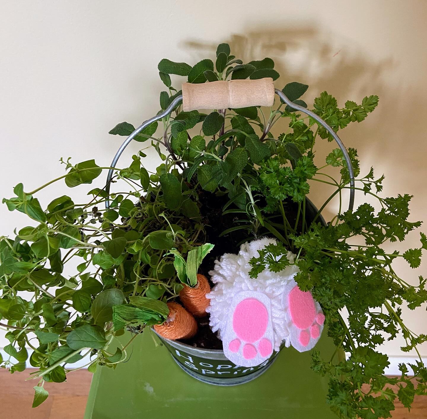 plant cuttings with chalkboard labels