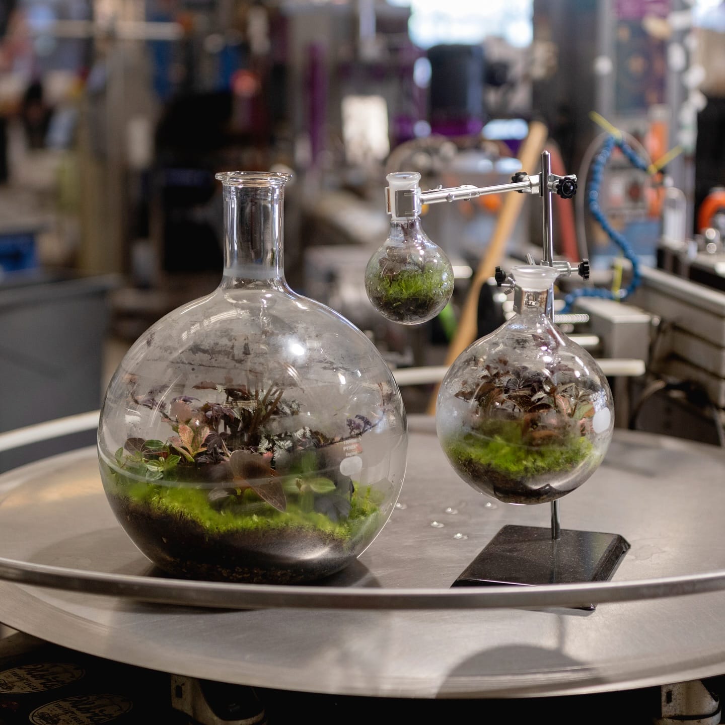 seasonal themed bottle garden with holiday decor