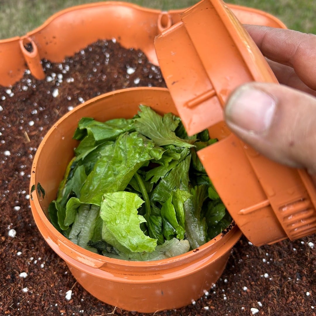 baking soda sprinkled on compost