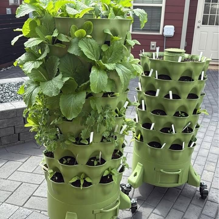 minimalist colander with few herbs