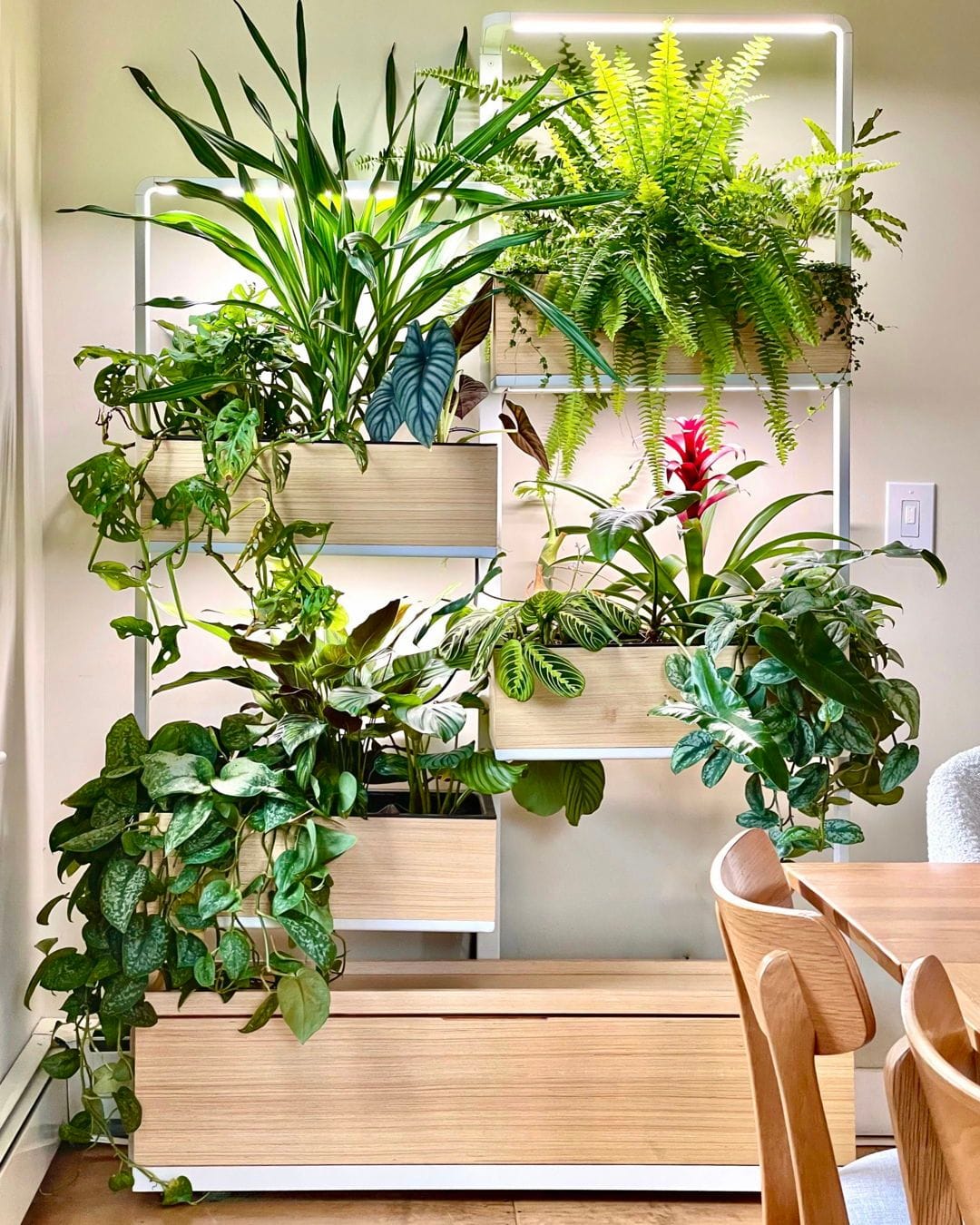 staggered planter shelves with herbs