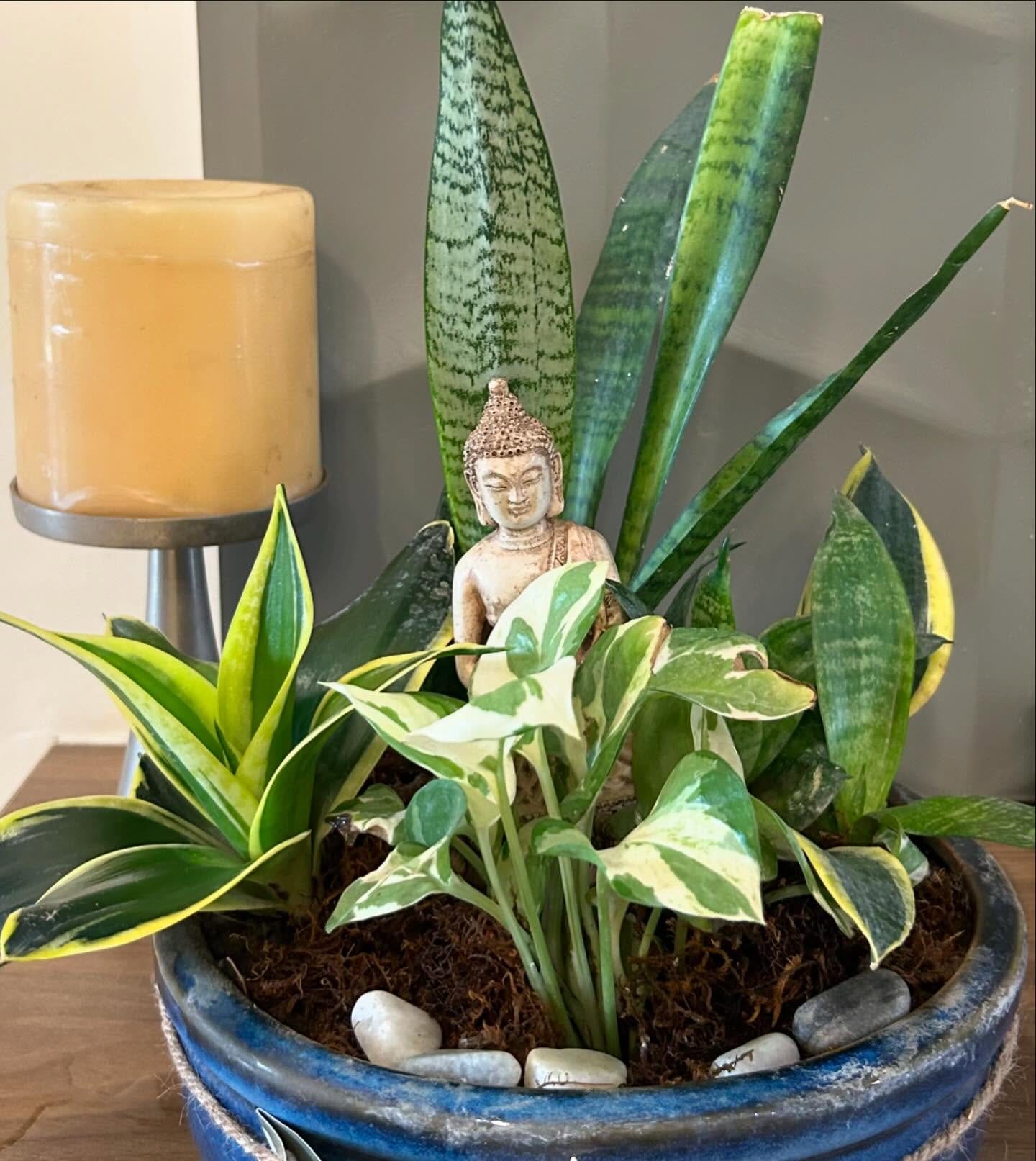 zen corner with succulent teacup