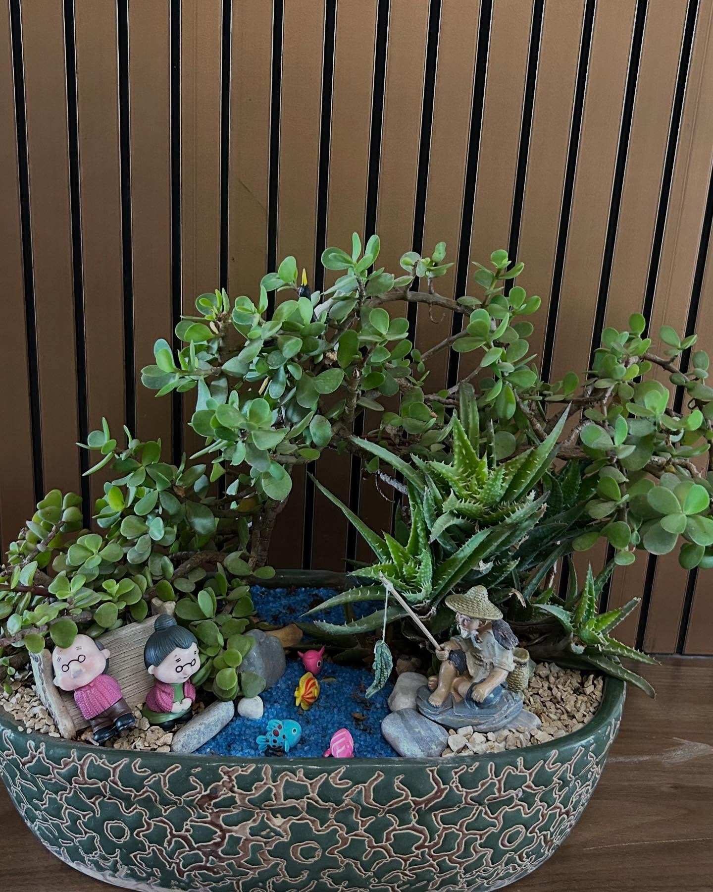 preserved plant arrangement in Zen corner