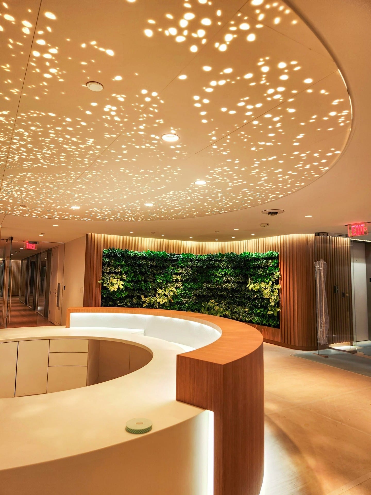 ceiling-mounted plant installation