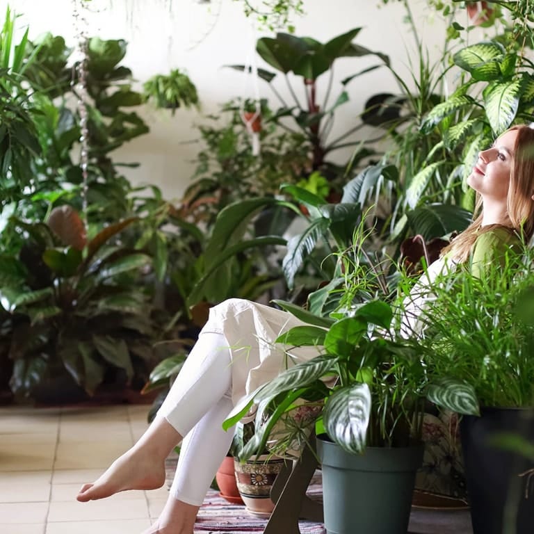 small fan near plants