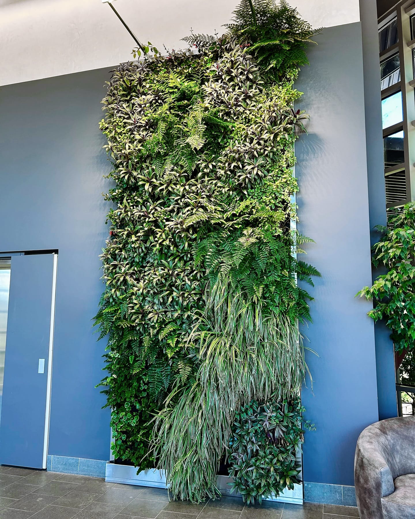 child-friendly plant tapestry with colorful pots