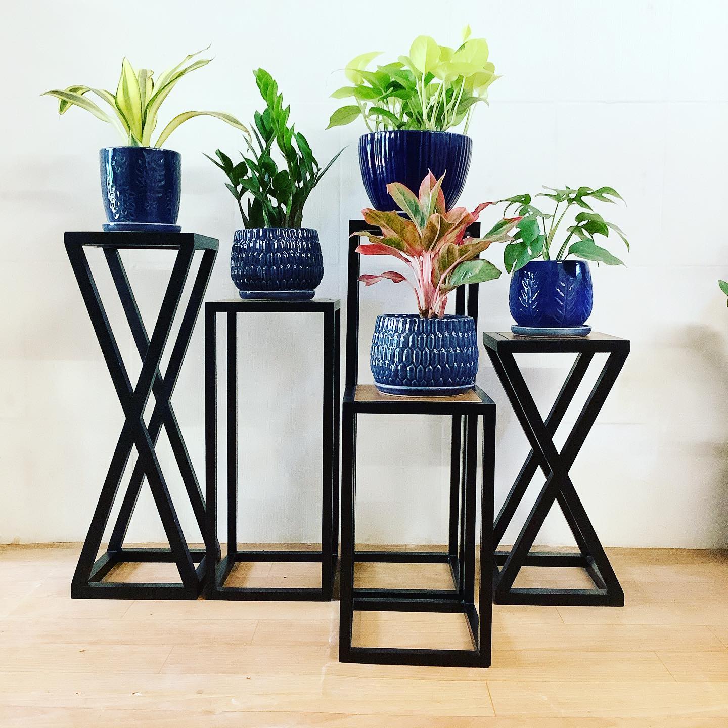 tiered plant stand with ferns