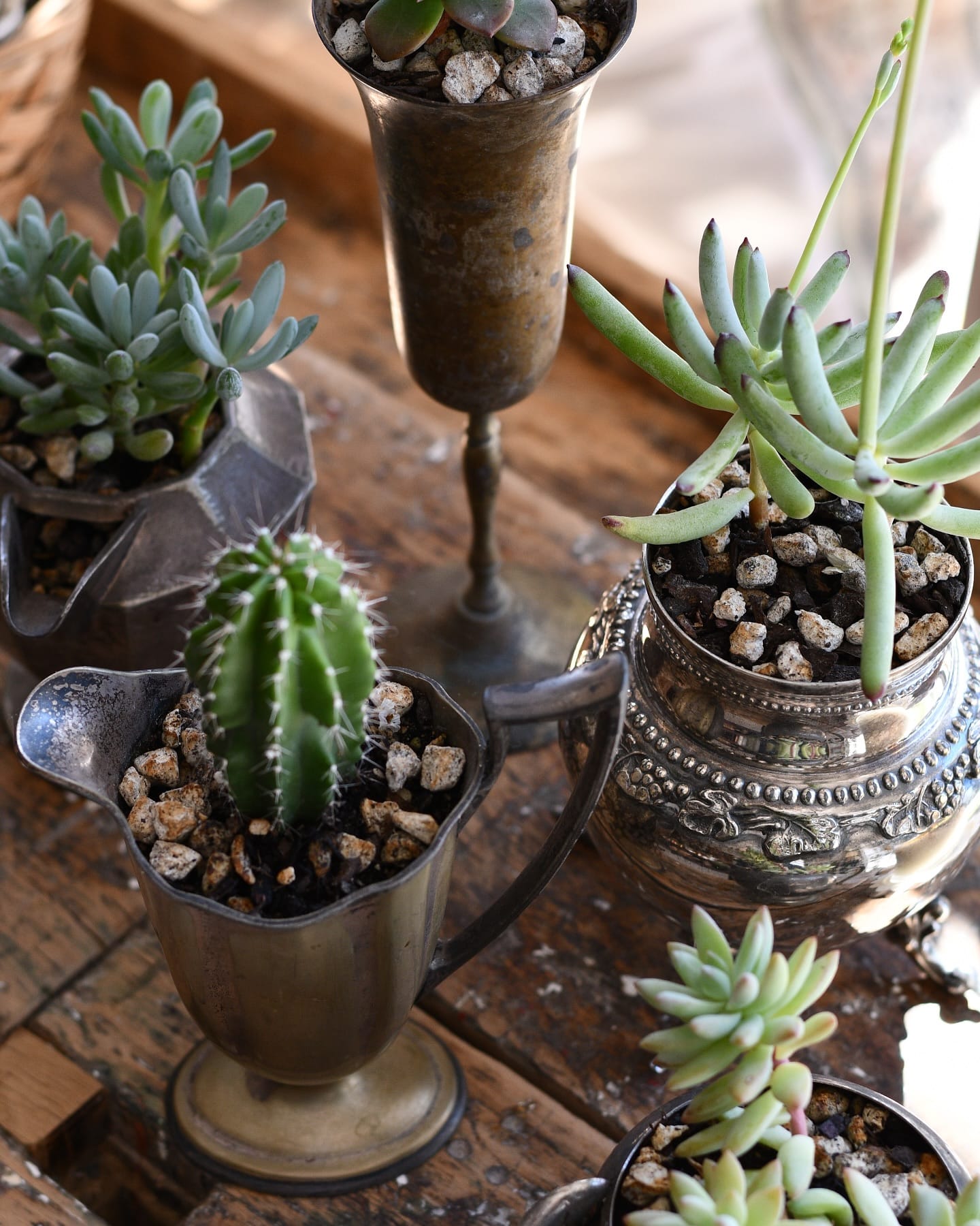 heirloom pot on chic coffee table